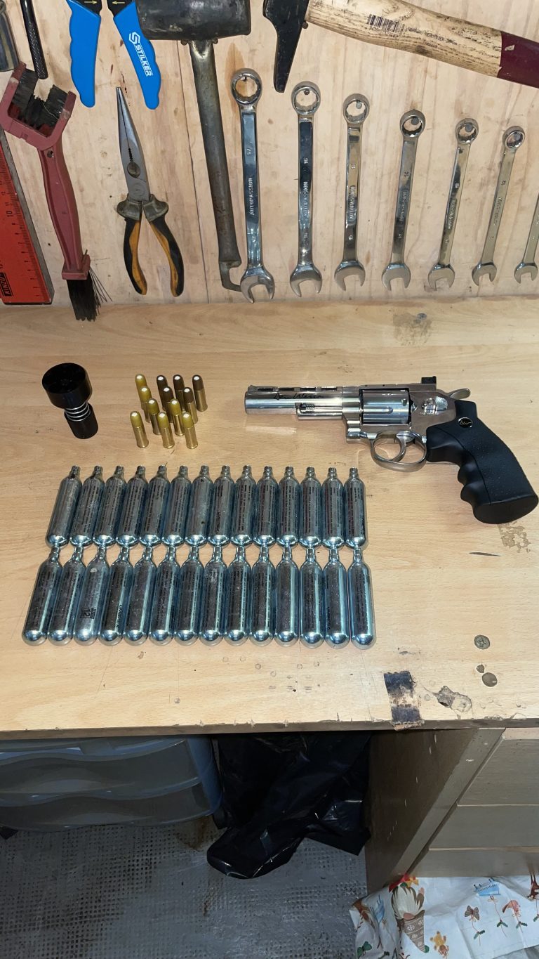 Dan Wesson WG CO2 Full Metal