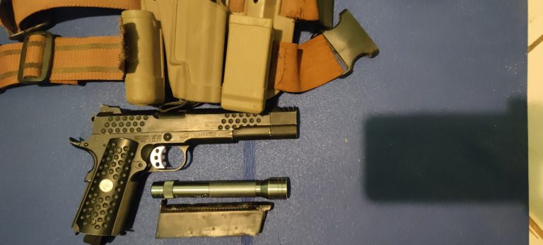 WE 1911 lot