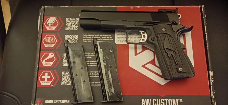 1911 Punisher
