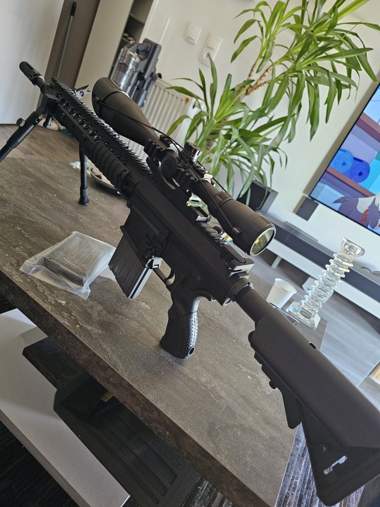 SR-25 ECC GBBR