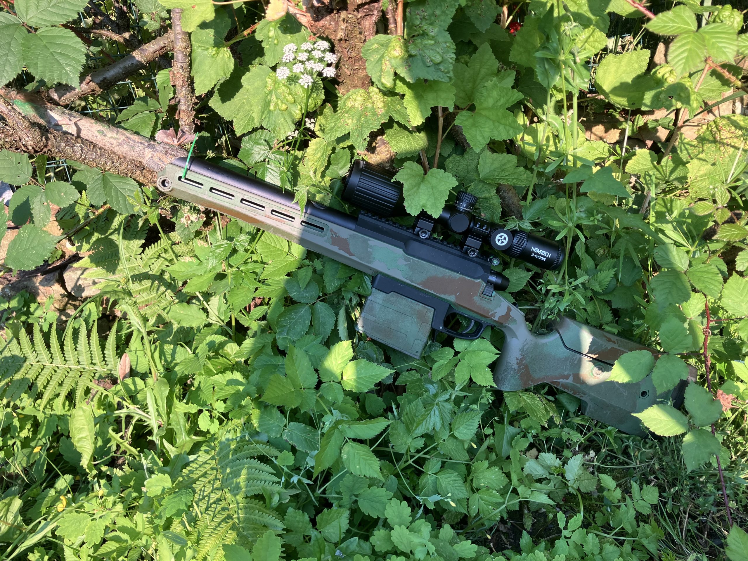 Tac41-p