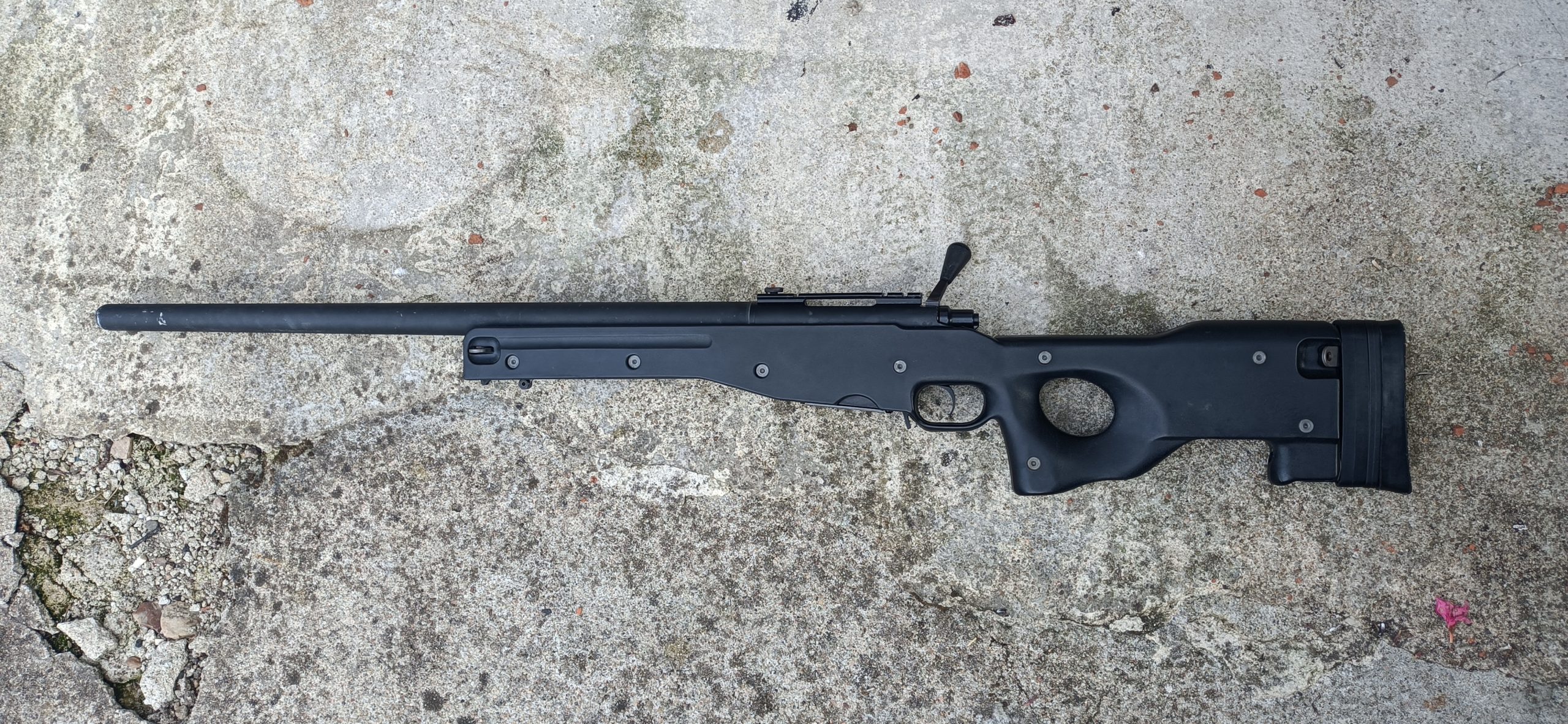 L96 AW308 [GAZ]