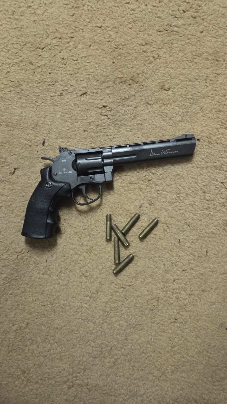 Dan Wesson 6"