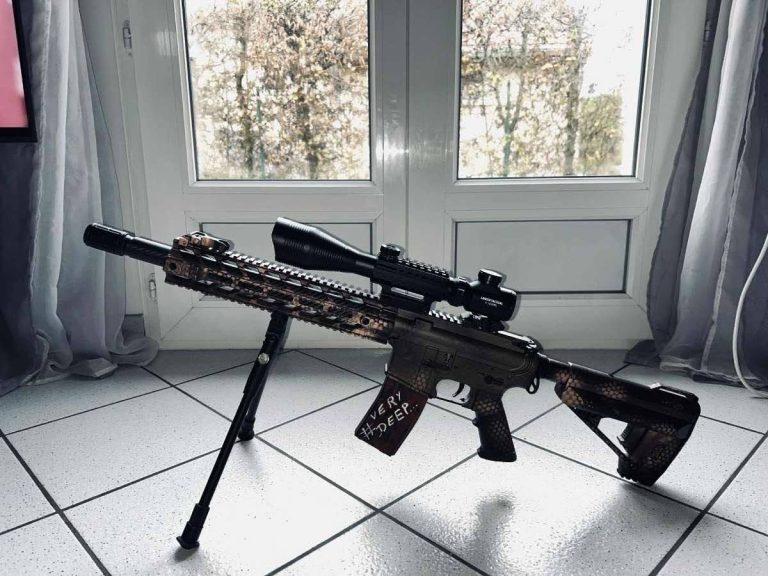DISPONIBLE (NEUF) Avalon Custom – Build DMR / Assault – Setup complet & performant