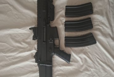 Scar L