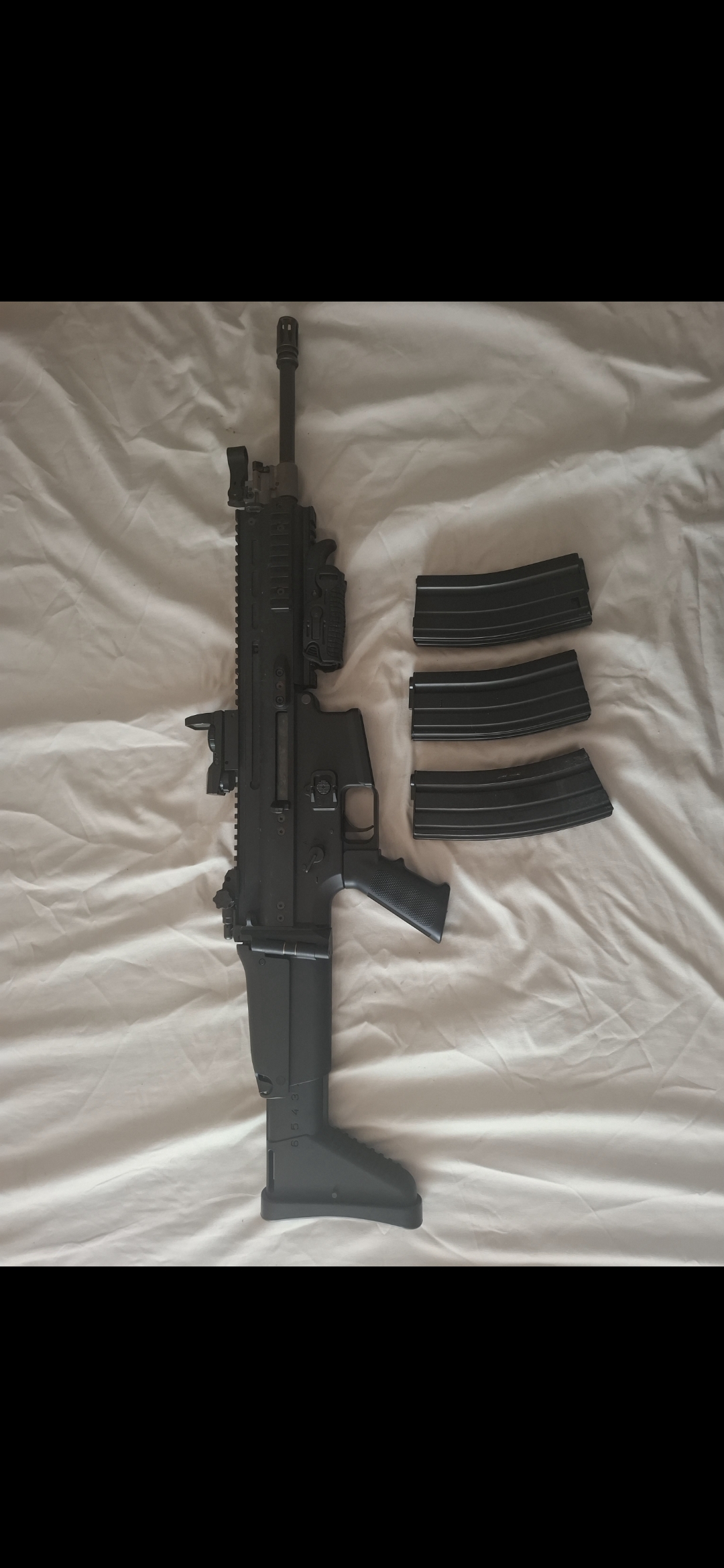 Scar L