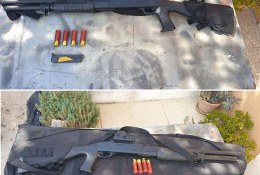 ASG Franchi SAS 12 spring + rail Picatinny + holosight