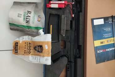 DiamondBack AR15 court
