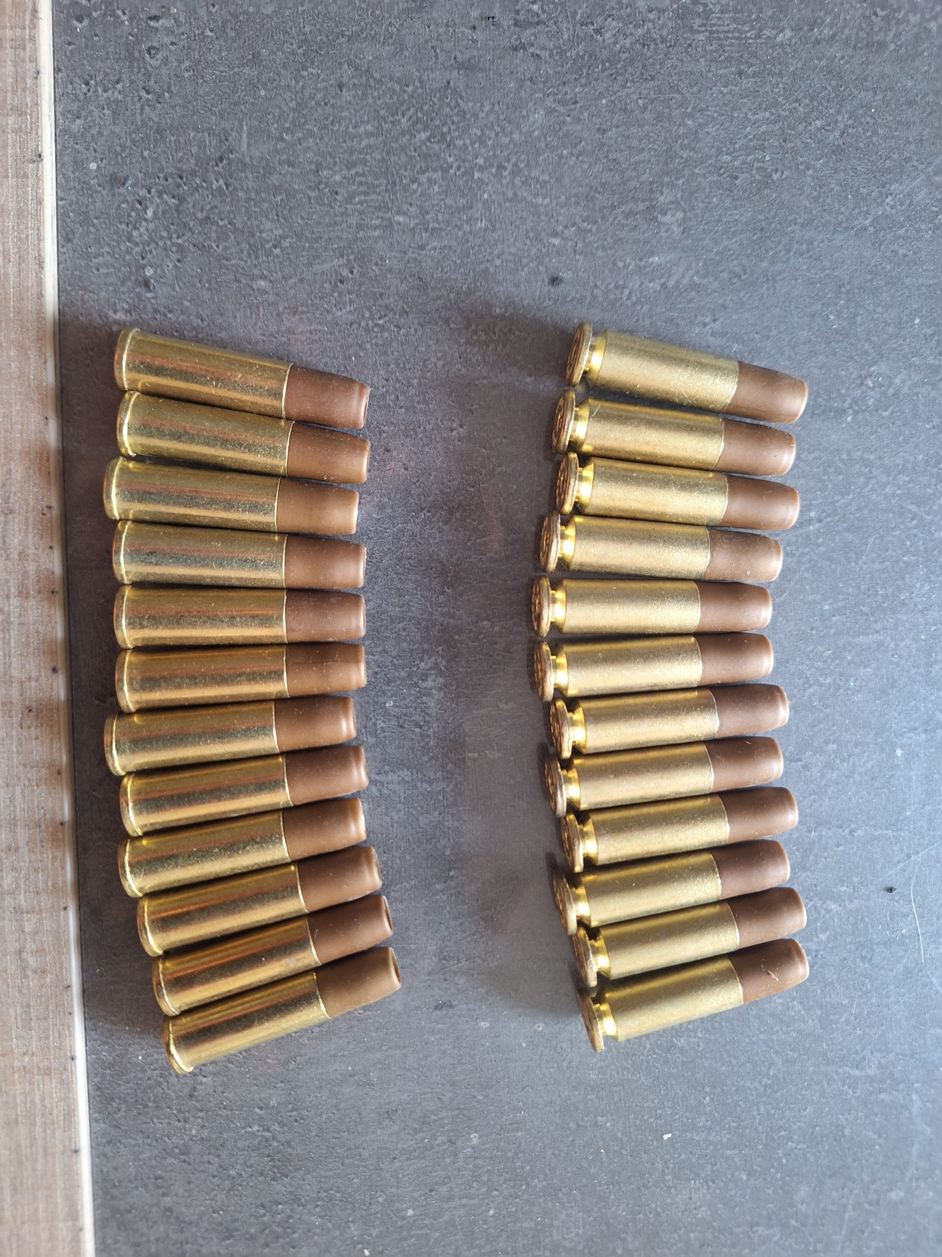 Rhino chiappa