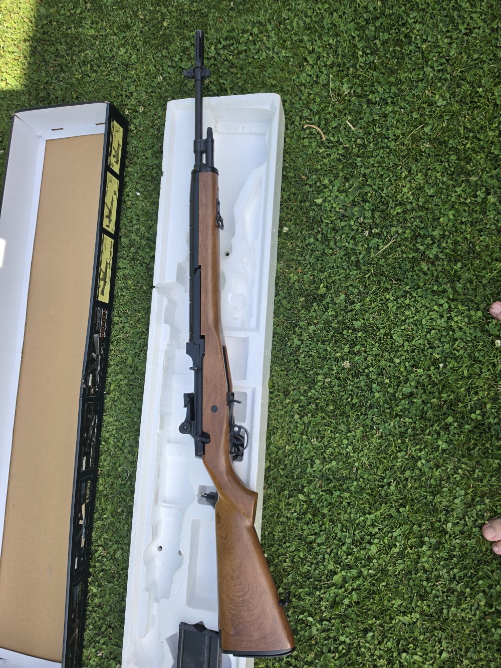 M14 (aeg)