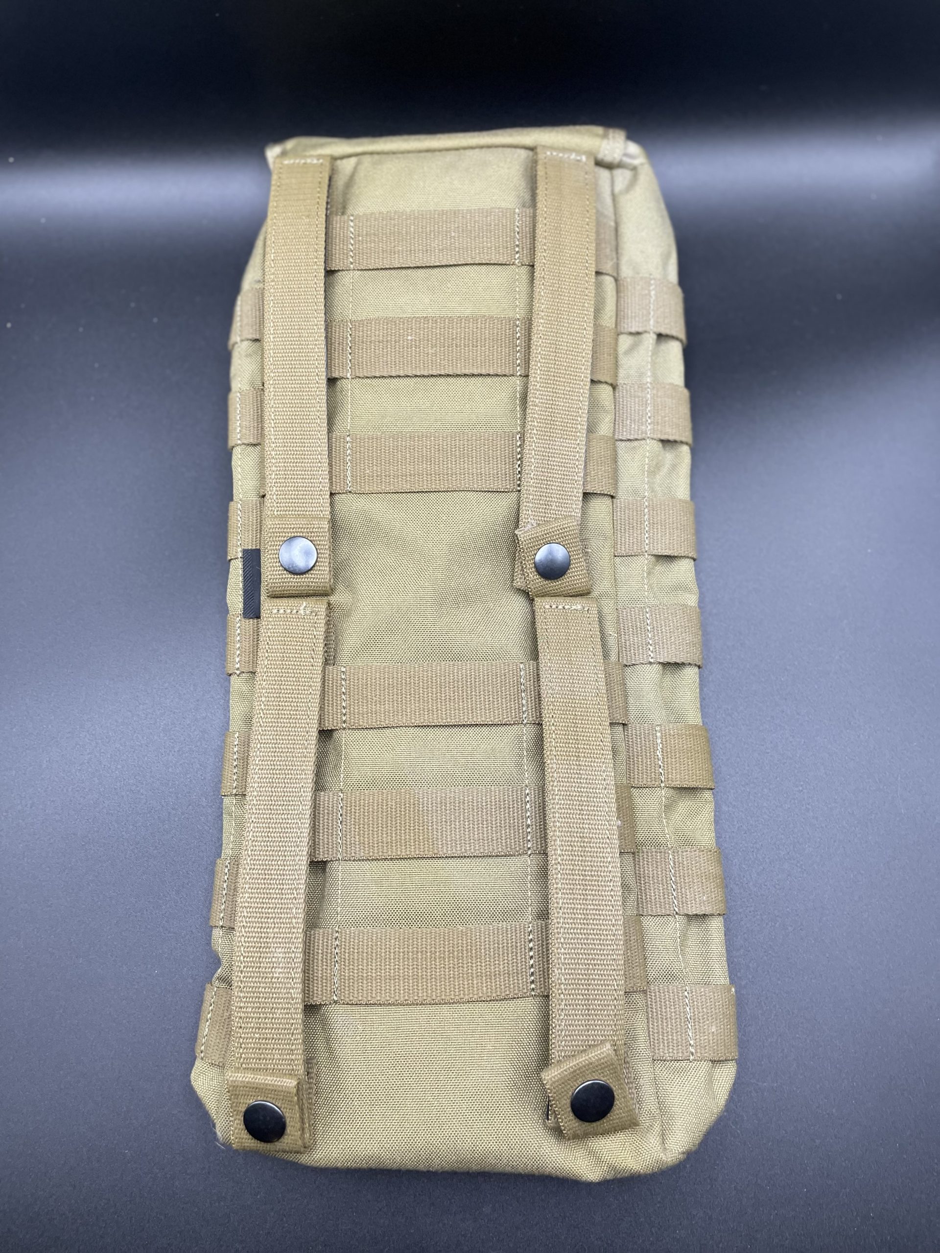 Sac tasmanianTiger