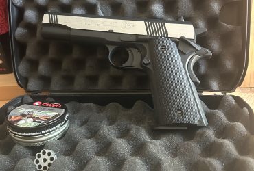 colt governement