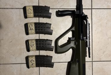 Réplique Airsoft Steyr AUG Snow Wolf (AEG) + Pack 9 Chargeurs & Batterie LiPo