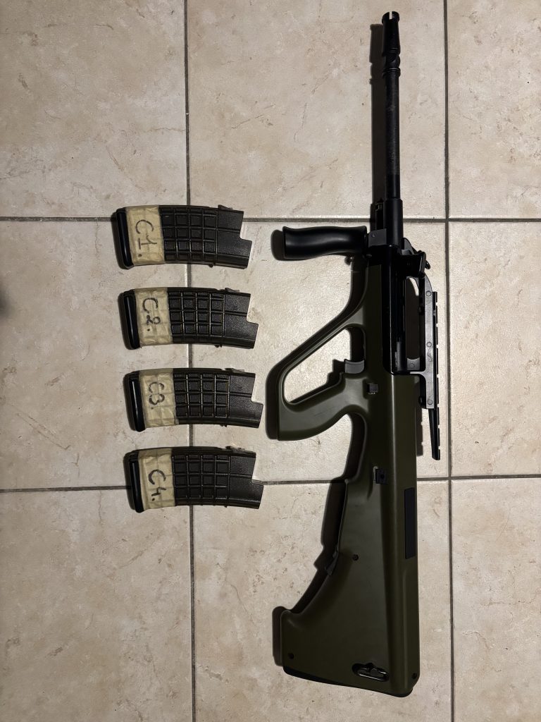 Réplique Airsoft Steyr AUG Snow Wolf (AEG) + Pack 9 Chargeurs & Batterie LiPo