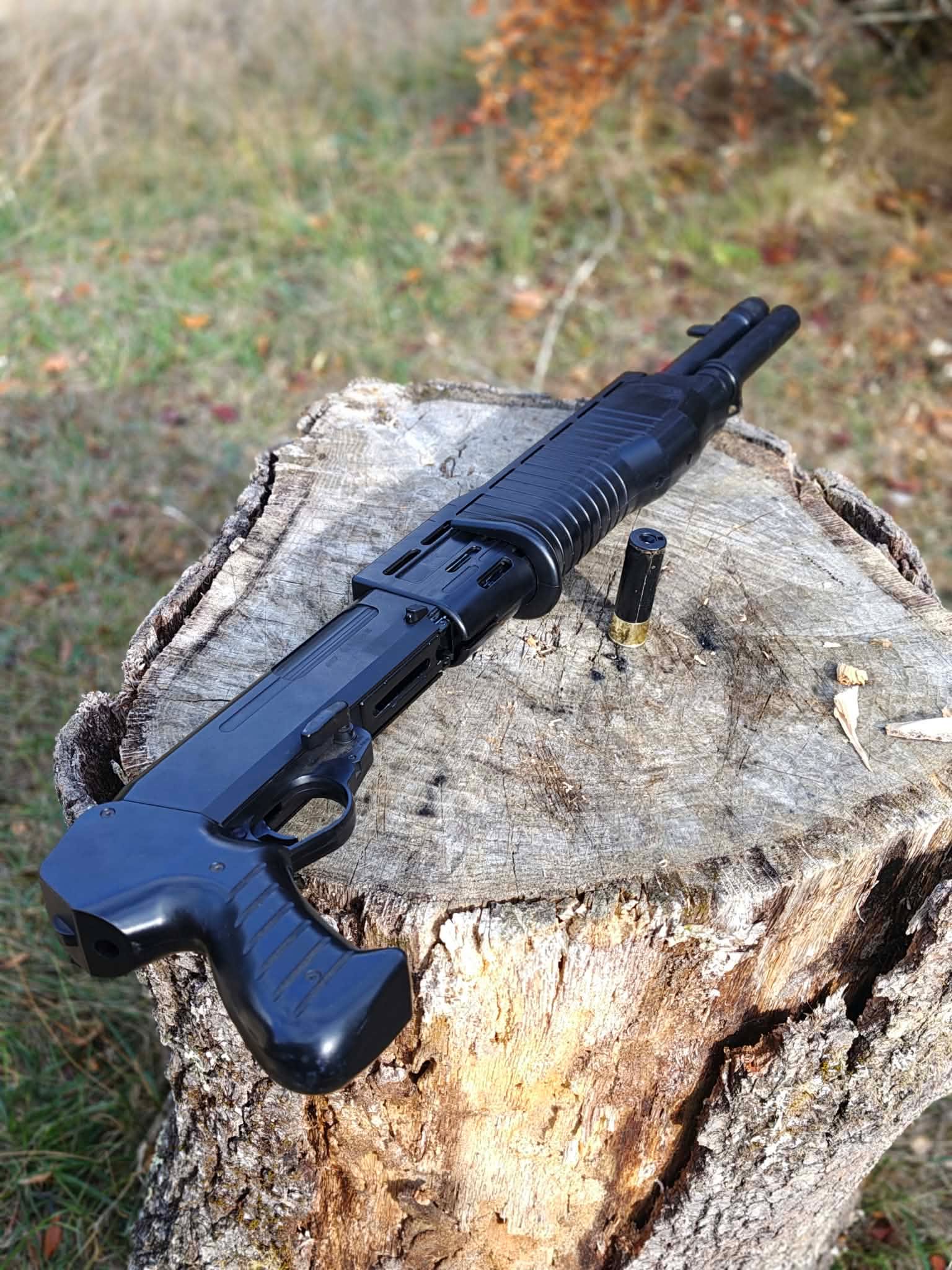 SPAS 12